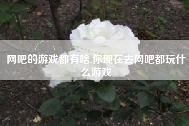 网吧的游戏都有啥,你现在去网吧都玩什么游戏