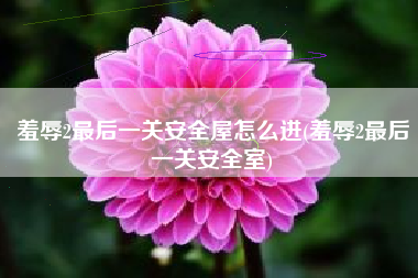羞辱2最后一关安全屋怎么进(羞辱2最后一关安全室)