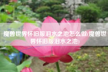 魔兽世界怀旧服泪水之池怎么做(魔兽世界怀旧服泪水之池)
