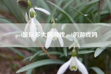 ps4能玩多大的游戏,ps1的游戏吗