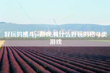 好玩的格斗pc游戏,有什么好玩的格斗类游戏