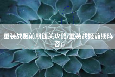 重装战姬前期通关攻略(重装战姬前期阵容)