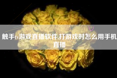 触手tv游戏直播软件,打游戏时怎么用手机直播