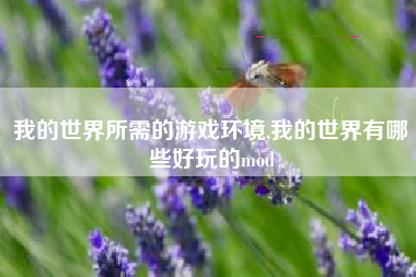 我的世界所需的游戏环境,我的世界有哪些好玩的mod