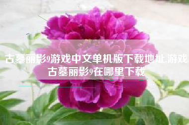 古墓丽影9游戏中文单机版下载地址,游戏古墓丽影9在哪里下载