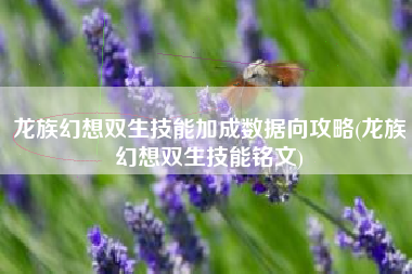 龙族幻想双生技能加成数据向攻略(龙族幻想双生技能铭文)