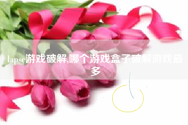 lapse游戏破解,哪个游戏盒子破解游戏最多