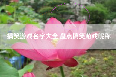 搞笑游戏名字大全,盘点搞笑游戏昵称