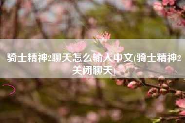 骑士精神2聊天怎么输入中文(骑士精神2关闭聊天)