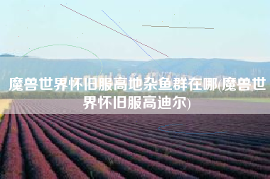 魔兽世界怀旧服高地杂鱼群在哪(魔兽世界怀旧服高迪尔)