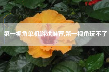 第一视角单机游戏推荐,第一视角玩不了