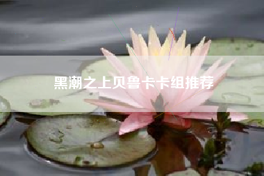 黑潮之上贝鲁卡卡组推荐
