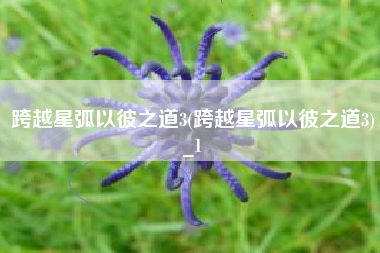 跨越星弧以彼之道3(跨越星弧以彼之道3)_1