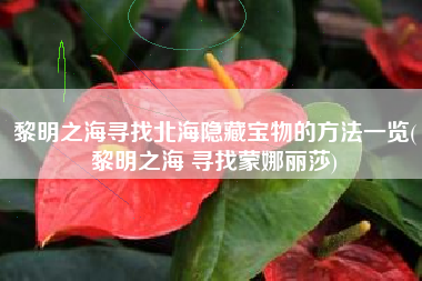 黎明之海寻找北海隐藏宝物的方法一览(黎明之海 寻找蒙娜丽莎)