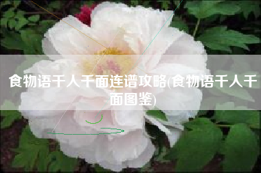 食物语千人千面连谱攻略(食物语千人千面图鉴)