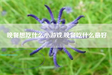 晚餐想吃什么小游戏,晚餐吃什么最好