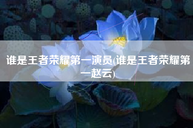 谁是王者荣耀第一演员(谁是王者荣耀第一赵云)