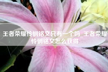王者荣耀怜悯铭文只有一个吗_王者荣耀怜悯铭文怎么获得