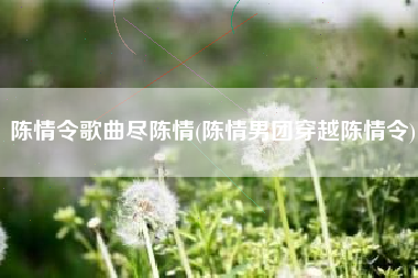 陈情令歌曲尽陈情(陈情男团穿越陈情令)