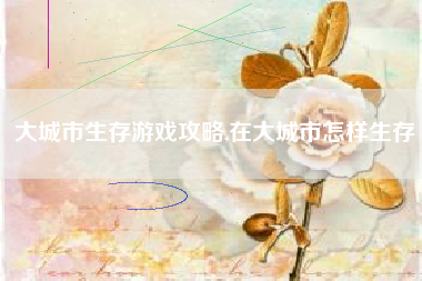 大城市生存游戏攻略,在大城市怎样生存