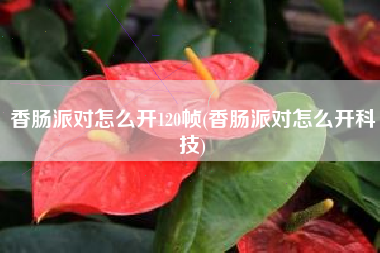 香肠派对怎么开120帧(香肠派对怎么开科技)