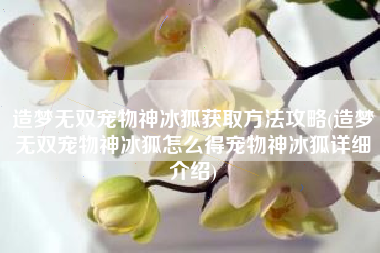 造梦无双宠物神冰狐获取方法攻略(造梦无双宠物神冰狐怎么得宠物神冰狐详细介绍)