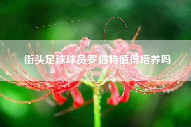 街头足球球员罗伯特值得培养吗