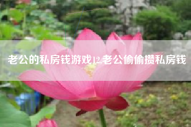 老公的私房钱游戏12,老公偷偷攒私房钱