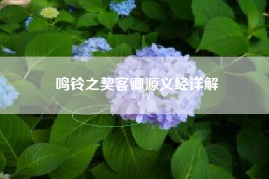 鸣铃之契客卿源义经详解