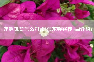 龙蝇饥荒怎么打(饥荒龙蝇客栈mod介绍)