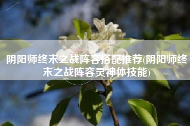 阴阳师终末之战阵容搭配推荐(阴阳师终末之战阵容灵神体技能)
