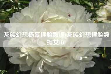 龙族幻想杨幂捏脸数据(龙族幻想捏脸数据女ID)