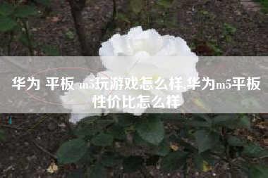 华为 平板 m5玩游戏怎么样,华为m5平板性价比怎么样