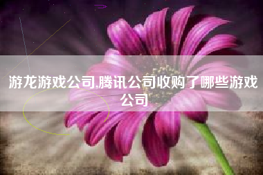 游龙游戏公司,腾讯公司收购了哪些游戏公司