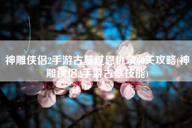 神雕侠侣2手游古墓过恩仇录60关攻略(神雕侠侣2手游古墓技能)