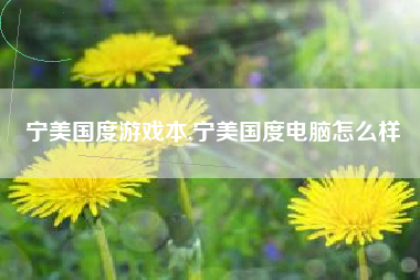 宁美国度游戏本,宁美国度电脑怎么样