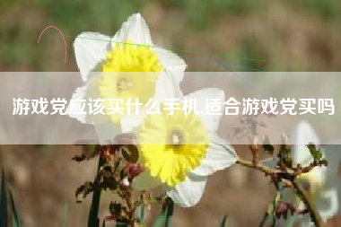 游戏党应该买什么手机,适合游戏党买吗