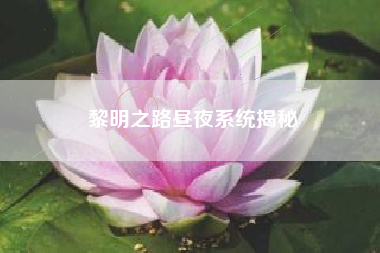 黎明之路昼夜系统揭秘