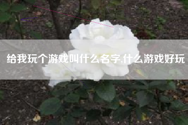 给我玩个游戏叫什么名字,什么游戏好玩