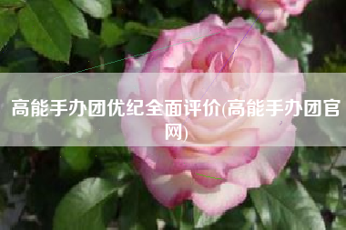 高能手办团优纪全面评价(高能手办团官网)