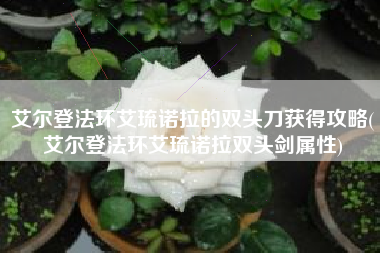 艾尔登法环艾琉诺拉的双头刀获得攻略(艾尔登法环艾琉诺拉双头剑属性)