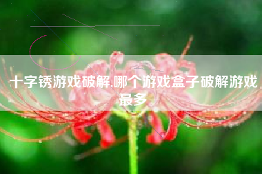 十字锈游戏破解,哪个游戏盒子破解游戏最多