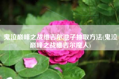 鬼泣巅峰之战维吉尔池子抽取方法(鬼泣巅峰之战维吉尔魔人)