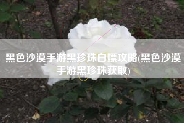 黑色沙漠手游黑珍珠白嫖攻略(黑色沙漠手游黑珍珠获取)
