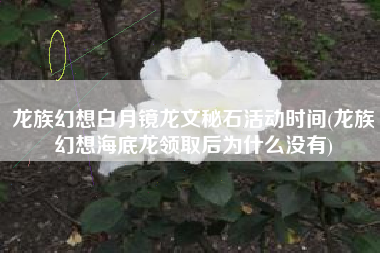 龙族幻想白月镜龙文秘石活动时间(龙族幻想海底龙领取后为什么没有)