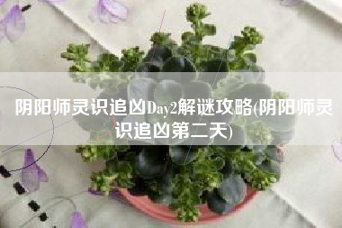 阴阳师灵识追凶Day2解谜攻略(阴阳师灵识追凶第二天)