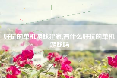 好玩的单机游戏建家,有什么好玩的单机游戏吗