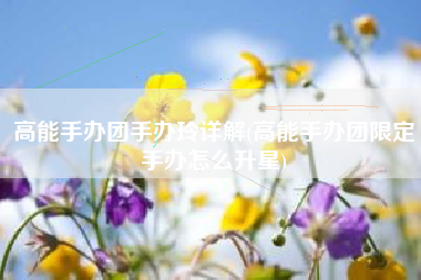 高能手办团手办玲详解(高能手办团限定手办怎么升星)