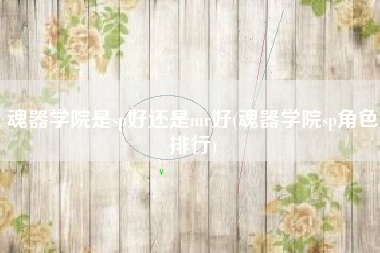 魂器学院是sp好还是mr好(魂器学院sp角色排行)