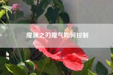 魔渊之刃魔气如何控制